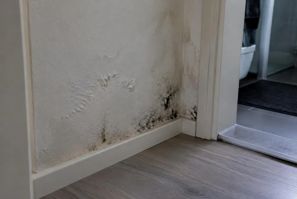 Lekdetectie Olst – vochtplek met schimmel op een muur